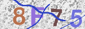 CAPTCHA 驗證圖片
