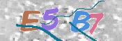 CAPTCHA 驗證圖片