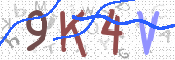CAPTCHA 驗證圖片