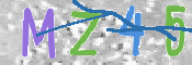 CAPTCHA 驗證圖片