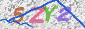 CAPTCHA 驗證圖片