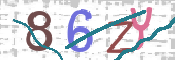 CAPTCHA 驗證圖片