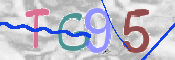 CAPTCHA 驗證圖片