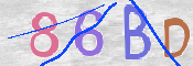 CAPTCHA 驗證圖片