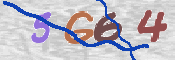 CAPTCHA 驗證圖片