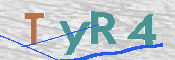 CAPTCHA 驗證圖片