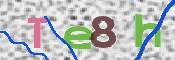 CAPTCHA 驗證圖片
