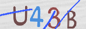 CAPTCHA 驗證圖片