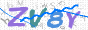 CAPTCHA 驗證圖片