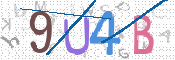 CAPTCHA 驗證圖片