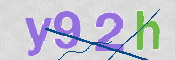 CAPTCHA 驗證圖片