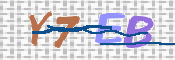 CAPTCHA 驗證圖片
