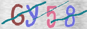 CAPTCHA 驗證圖片