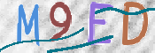 CAPTCHA 驗證圖片