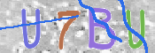 CAPTCHA 驗證圖片