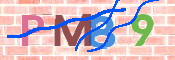 CAPTCHA 驗證圖片