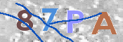 CAPTCHA 驗證圖片