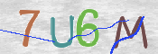 CAPTCHA 驗證圖片