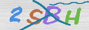 CAPTCHA 驗證圖片