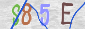 CAPTCHA 驗證圖片