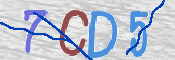 CAPTCHA 驗證圖片