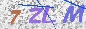 CAPTCHA 驗證圖片
