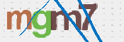 CAPTCHA 驗證圖片