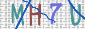 CAPTCHA 驗證圖片