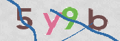 CAPTCHA 驗證圖片