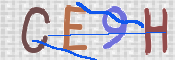 CAPTCHA 驗證圖片