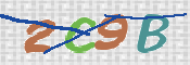 CAPTCHA 驗證圖片
