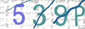 CAPTCHA 驗證圖片