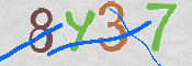 CAPTCHA 驗證圖片