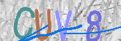 CAPTCHA 驗證圖片