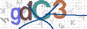 CAPTCHA 驗證圖片