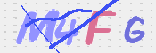 CAPTCHA 驗證圖片