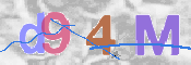 CAPTCHA 驗證圖片