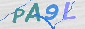 CAPTCHA 驗證圖片