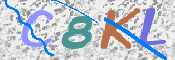 CAPTCHA 驗證圖片