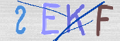 CAPTCHA 驗證圖片