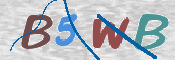 CAPTCHA 驗證圖片