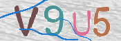 CAPTCHA 驗證圖片