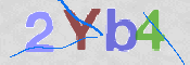 CAPTCHA 驗證圖片