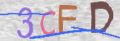 CAPTCHA 驗證圖片