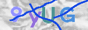 CAPTCHA 驗證圖片