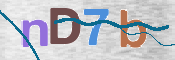 CAPTCHA 驗證圖片