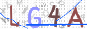 CAPTCHA 驗證圖片