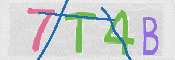 CAPTCHA 驗證圖片