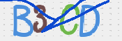 CAPTCHA 驗證圖片