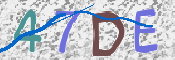 CAPTCHA 驗證圖片